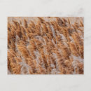 Recherche de utah cartes postales Aventure