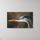 Recherche de oiseaux de marais art Héron