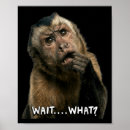 Suche nach lustiger affe poster Niedlich