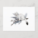 Suche nach weasels poster Natur