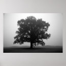 Suche nach amanda poster Natur