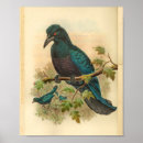 Suche nach locker poster Vogel