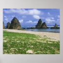 Suche nach okinawa poster Strand