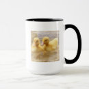 Recherche de canards mignons tasses Faune