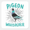 Suche nach pigeon aufkleber Taubenliebhaber