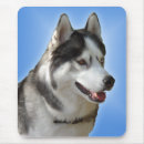 Suche nach schlitten mousepads Hund
