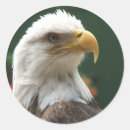 Suche nach verpackungen magnete Amerikanisch