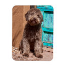 Suche nach kragen magnete Freundschaft