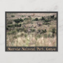 Suche nach nairobi postkarten Tierwelt