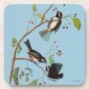 Suche nach john james audubon untersetzer Vogel