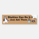 Recherche de sheltie voiture autocollants Chien de berger