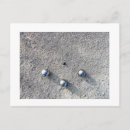 Recherche de petanque cartes invitations Boules