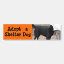 Recherche de humanitaire voiture autocollants Chien