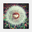 Suche nach löwenzahn magnete Inspirierend