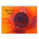 Suche nach mit blumen kalender Gänseblümchen