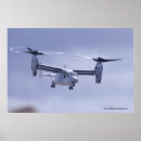 Recherche de v 22 Balbuzard pêcheur