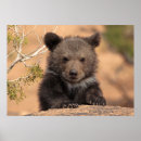 Recherche de image couleur posters Désert