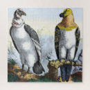 Recherche de hawk puzzles Animal