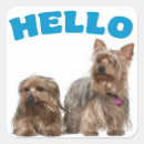 Suche nach yorkshire terrier aufkleber Hund
