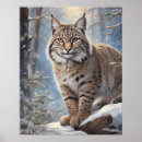 Recherche de de lynx posters Faune