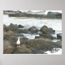 Suche nach felsen poster Meer