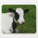 Suche nach holsteiner rind mousepads Molkerei