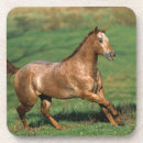 Suche nach appaloosa untersetzer Bob langrish