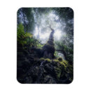 Recherche de rural magnets Nature