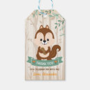 Suche nach chipmunk Waldland