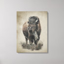 Suche nach büffel poster leinwandbilder Tier
