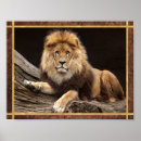 Suche nach majestätischer löwe poster Große katze