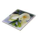 Recherche de bourgeon carreaux Blanc