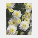 Recherche de aster Jaune