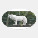 Recherche de loups blancs autocollants Nature