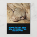 Suche nach reptilien postkarten Schlange