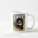 Recherche de pattes tasses Pour amateur d'animaux