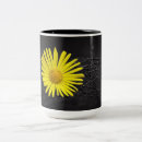 Recherche de fleurs jaunes tasses Pour tous