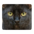 Recherche de chat noir planches à découper Chaton