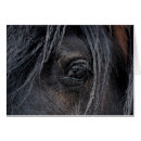 Recherche de cheval gitan cartes postales Vanner