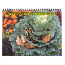 Recherche de poule calendriers Nature