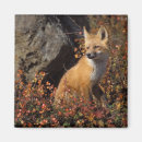 Recherche de canines magnets Environnement