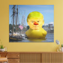 Recherche de canard de donald Tromper