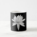 Recherche de lotus photographie Fleurs