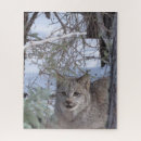 Suche nach luchs puzzle Rätsel
