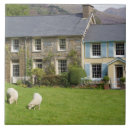 Suche nach wal fliesen Zuhause