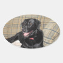 Suche nach labor aufkleber Schwarzer hund