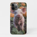 Suche nach ferkel iphone hüllen Niedlich