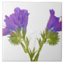 Suche nach natürliche welt fliesen Nahaufnahmeansicht