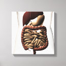 Suche nach menschlicher körper poster leinwandbilder Torso