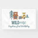 Suche nach pilze banner Wald